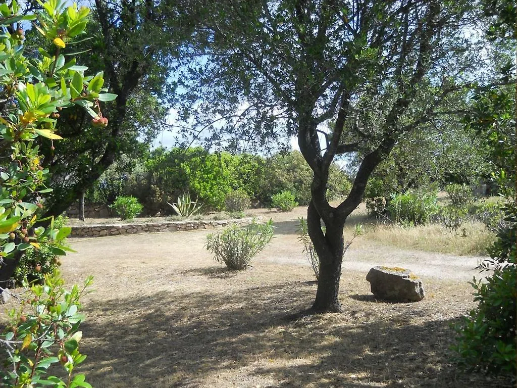 Vakantiehuis Villa Lu Impostu San Teodoro
